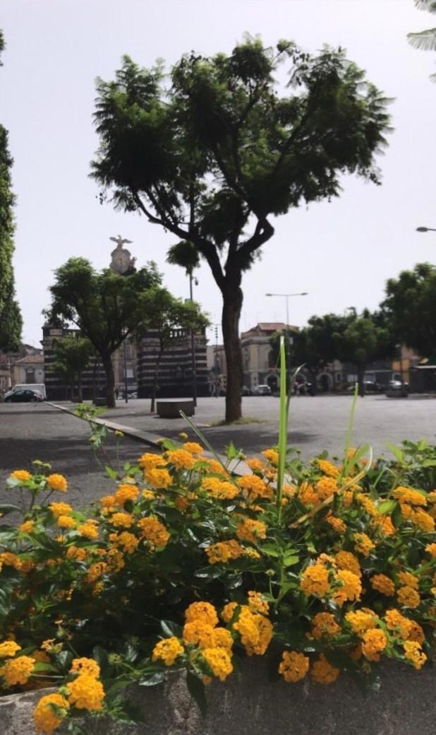 Il Fortino Apartment Catania Ngoại thất bức ảnh